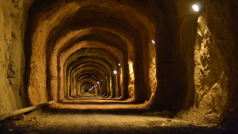 кадр из фильма سێگۆشەی مەرگ