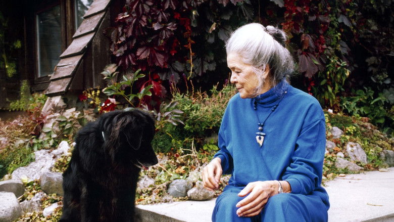 кадр из фильма Kathleen Shannon: On Film, Feminism & Other Dreams