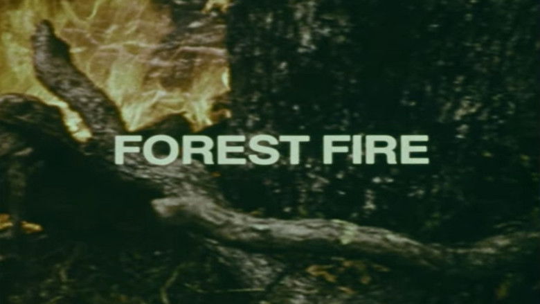 кадр из фильма Your Chance to Live: Forest Fire