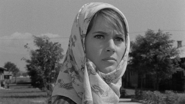 кадр из фильма Po isti poti se ne vračaj