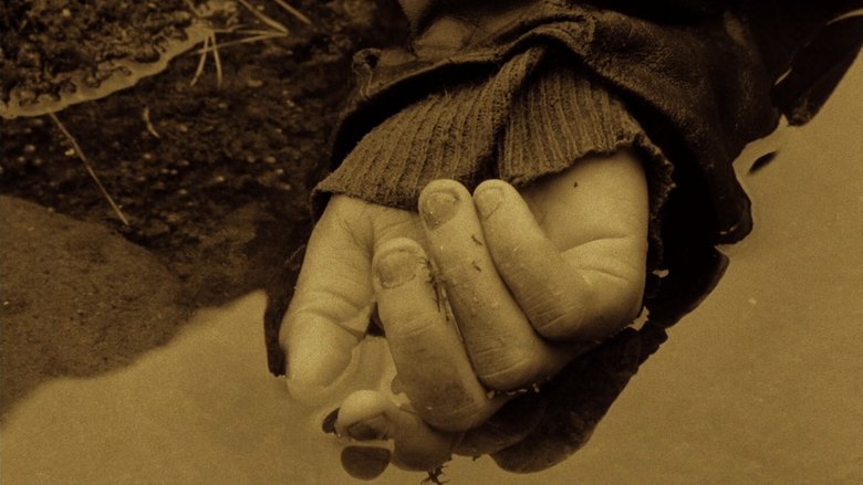 кадр из фильма Сталкер