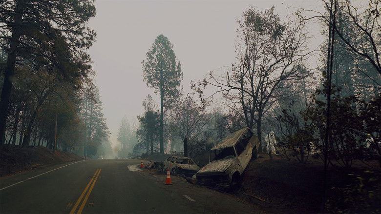 кадр из фильма The Fire Cats: Save Something Small