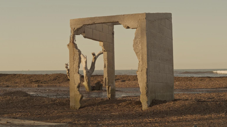 кадр из фильма La marcha del liquen