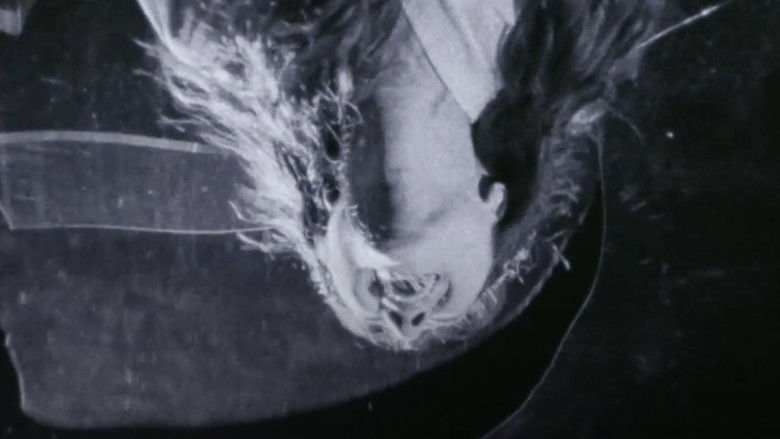 кадр из фильма Прекрасная жертва