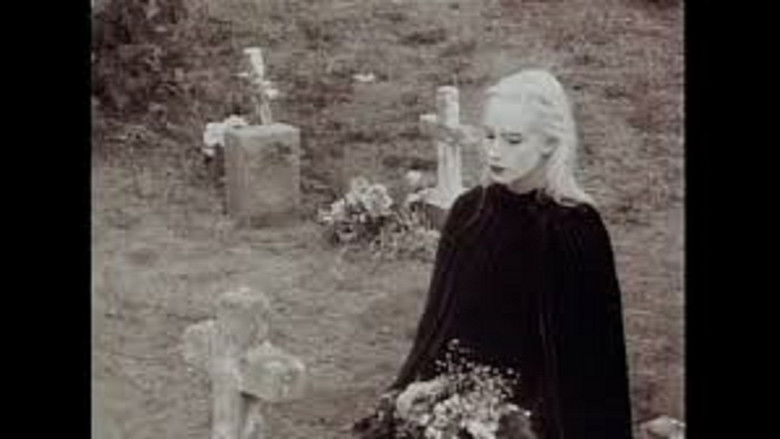 кадр из фильма Blood Countess