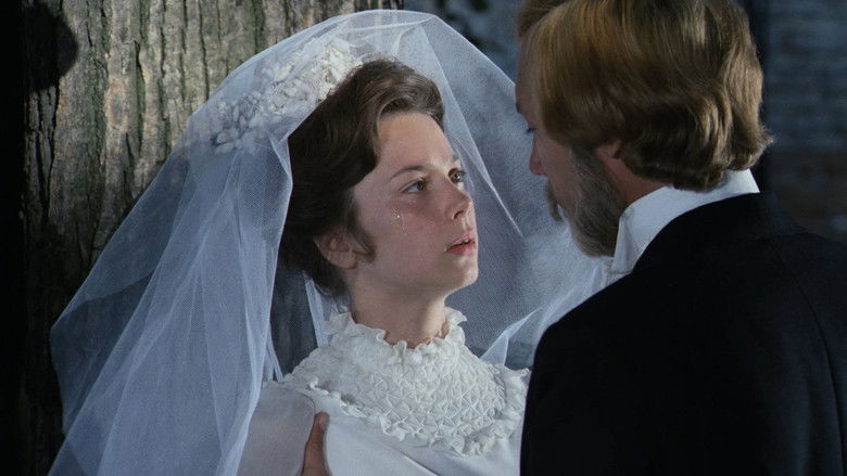 кадр из фильма Мой ласковый и нежный зверь