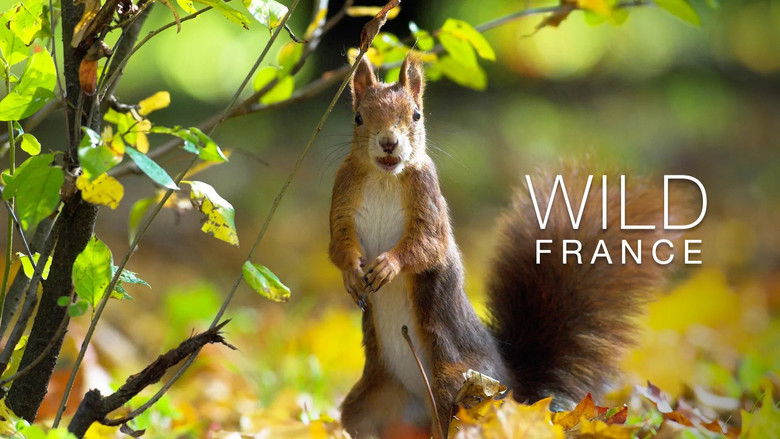 кадр из фильма Le Plus Beau Pays du Monde