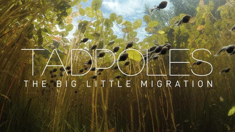 кадр из фильма Tadpoles: The Big Little Migration