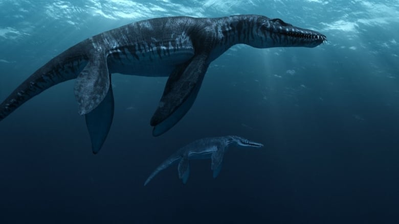кадр из фильма Морские динозавры 3D: Путешествие в доисторический мир