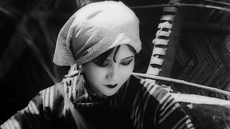 кадр из фильма Сборщица персиков