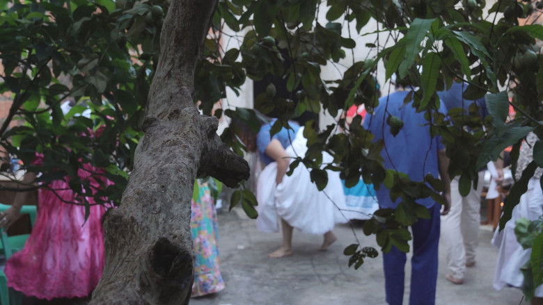 кадр из фильма Selado em Cicatriz