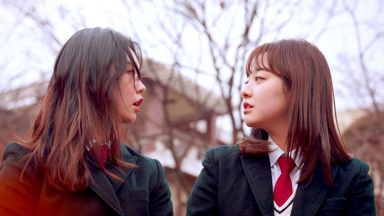 кадр из фильма 졸업, 선물 + 고백