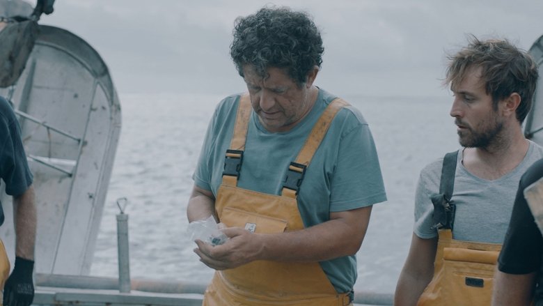 кадр из фильма Uno