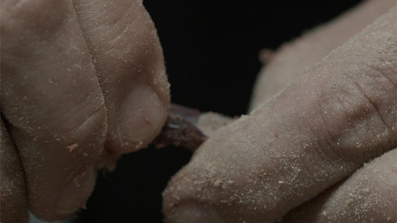 кадр из фильма Homing