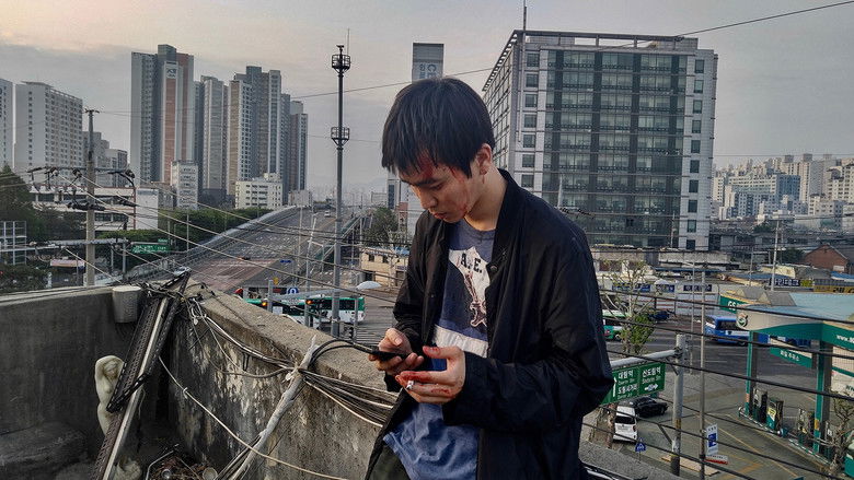 кадр из фильма 세트플레이