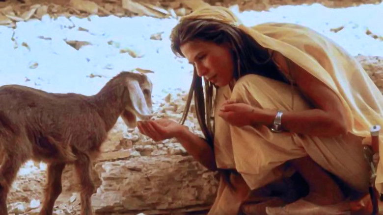 кадр из фильма Первый рыцарь при дворе Аладдина