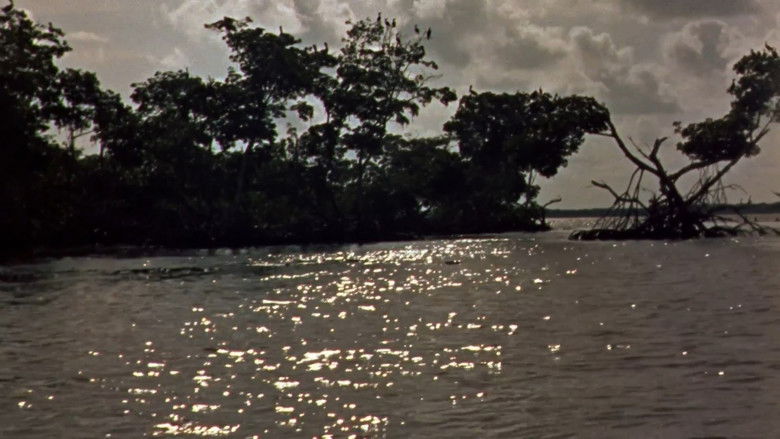 кадр из фильма Ветер над равнинами