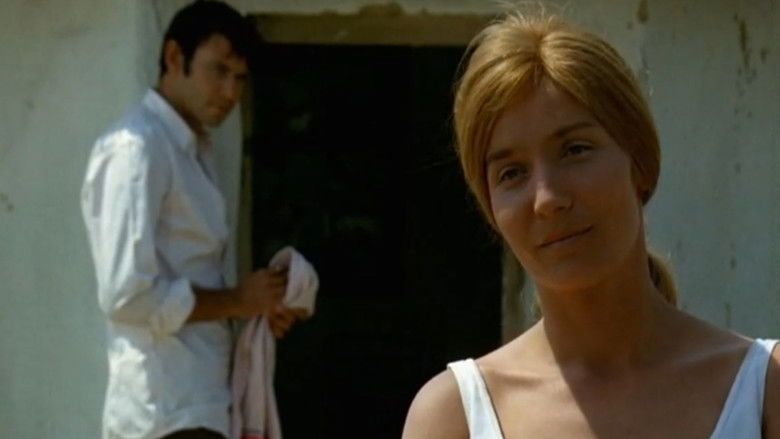 кадр из фильма Magasiskola