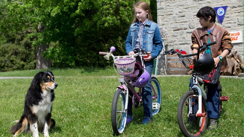 кадр из фильма Bark Ranger