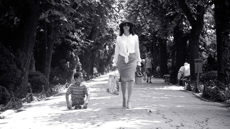 кадр из фильма The Wild Dogs