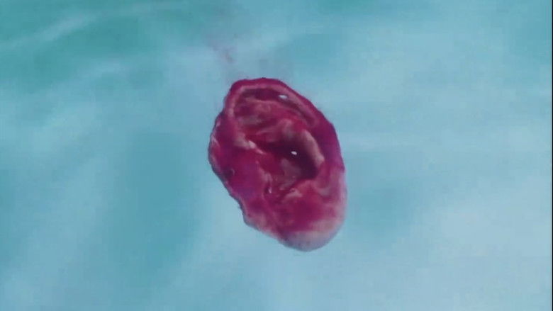 кадр из фильма XX 美しき機能