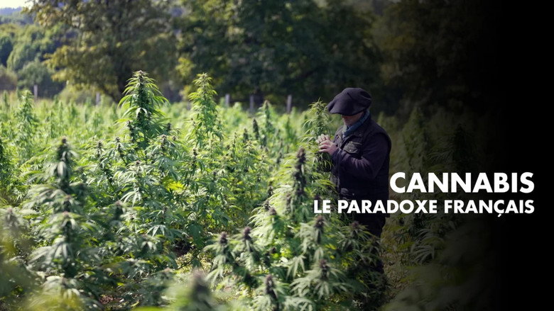 кадр из фильма Cannabis, un paradoxe français