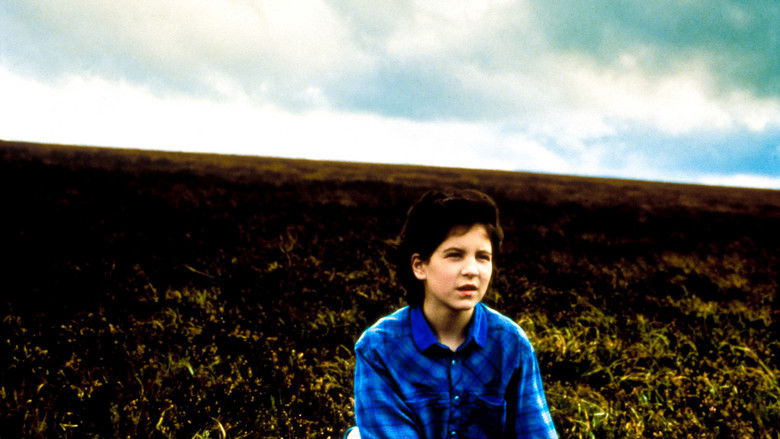 кадр из фильма Бумажный дом