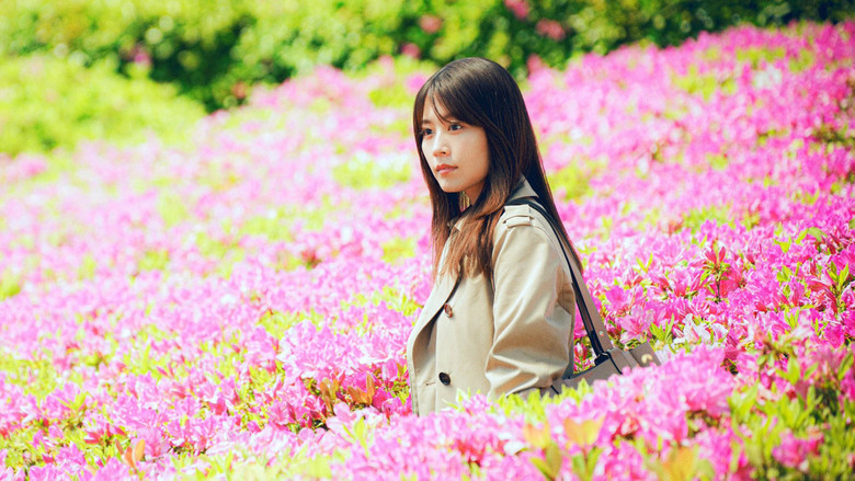 кадр из фильма 花まんま