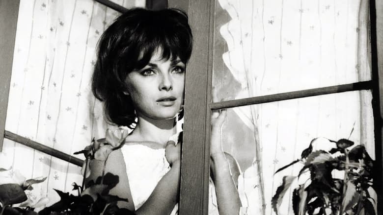 кадр из фильма Дамы и господа