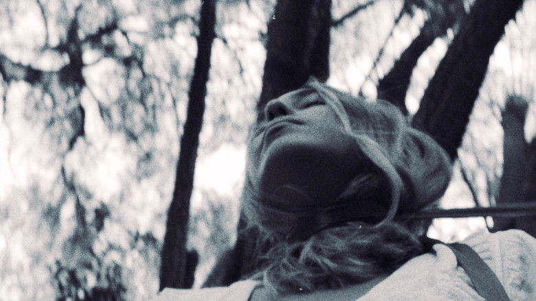 кадр из фильма 