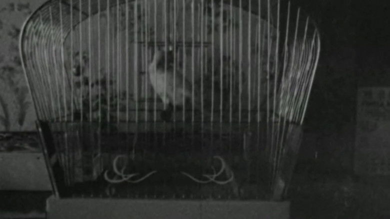 кадр из фильма S.O.S. Fonske