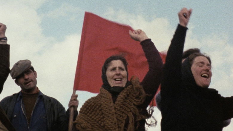 кадр из фильма A Lei da Terra