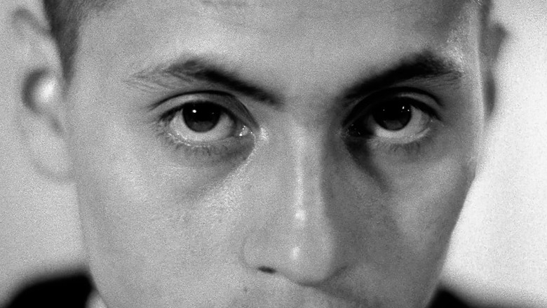 кадр из фильма Тысячи мирных облаков