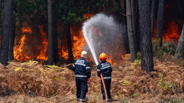 кадр из фильма Sauvons nos Forêts