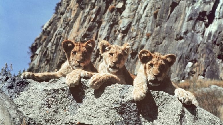 кадр из фильма Живущие свободными