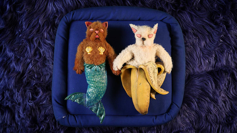 кадр из фильма Under Covers