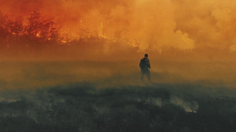 кадр из фильма Рай