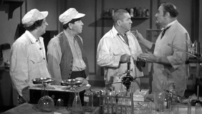 кадр из фильма A Bird in the Head