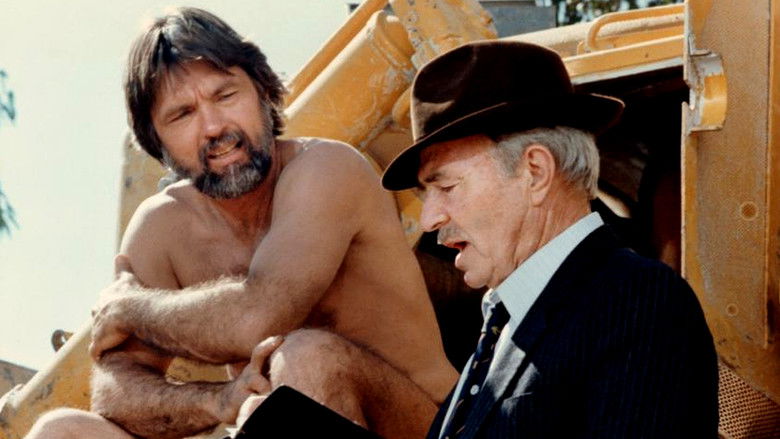 кадр из фильма A Dangerous Summer