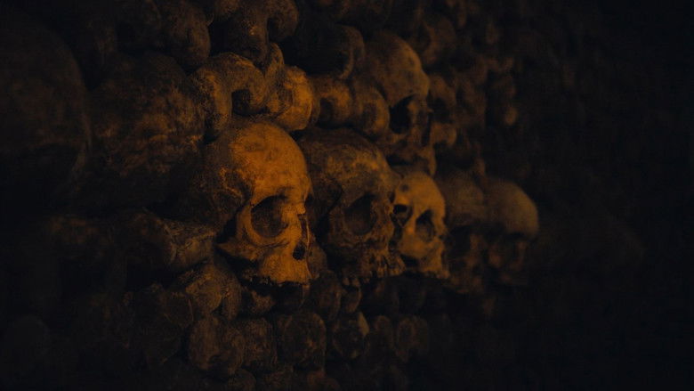 кадр из фильма Queens of the Stone Age: Alive in the Catacombs