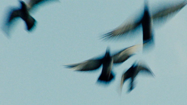 кадр из фильма Pigeonman
