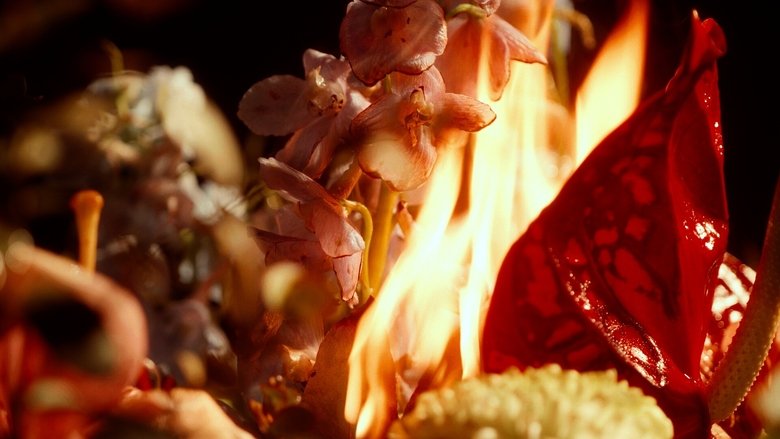 кадр из фильма 120