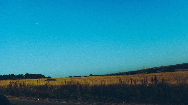 Moongazer's Moonlight Reverie