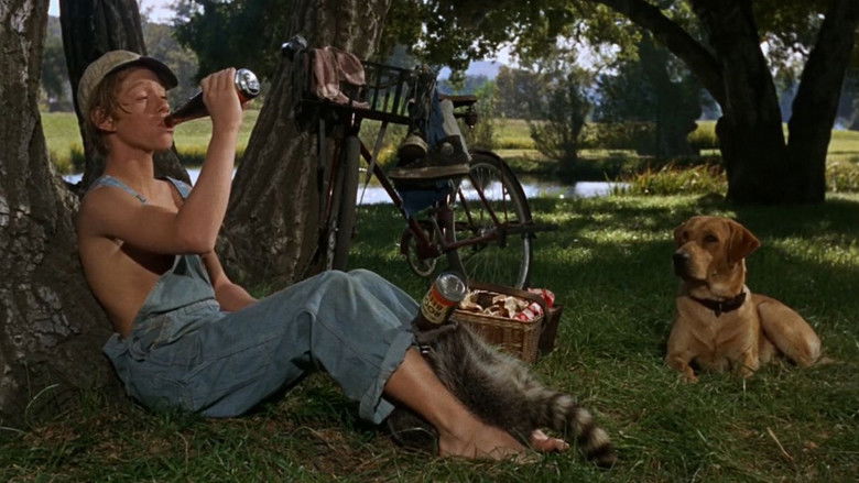 кадр из фильма Rascal