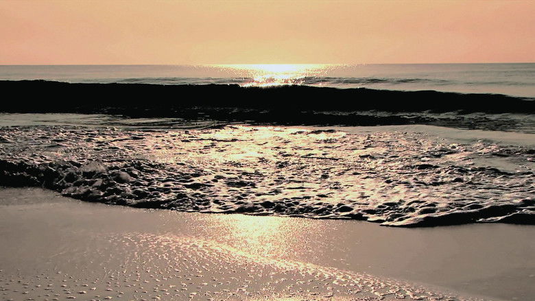 кадр из фильма Волны спокойствия