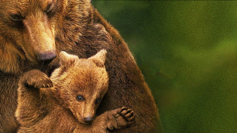 кадр из фильма Медведи