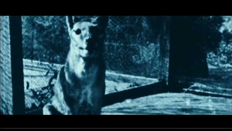 кадр из фильма Охотник