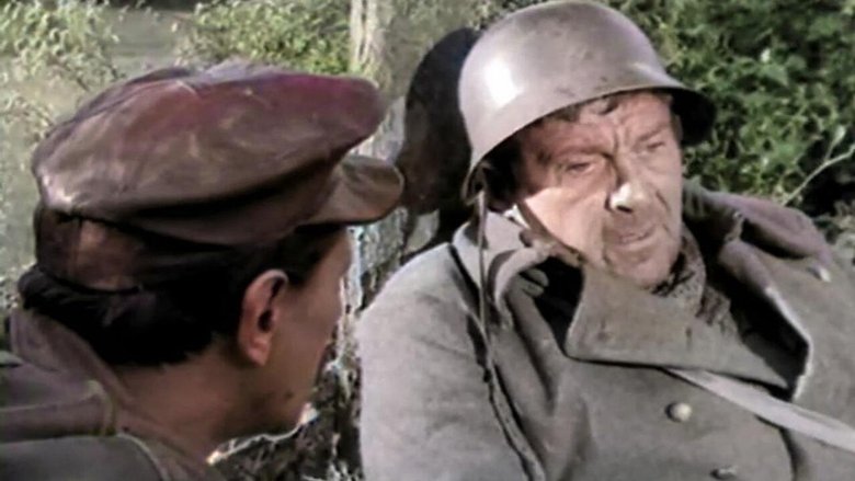 Любимчик командира