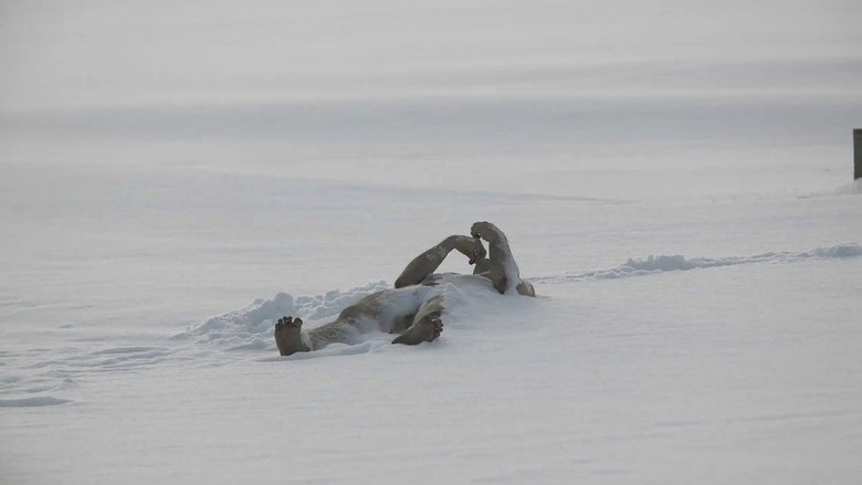 кадр из фильма Последняя зима