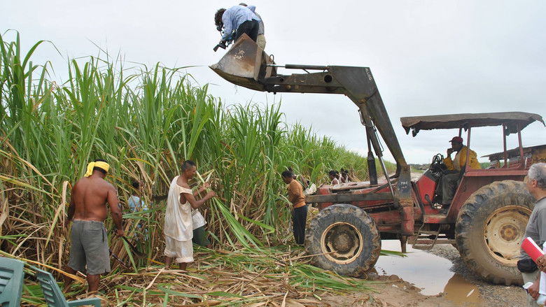 кадр из фильма Het geheim van Mariënburg